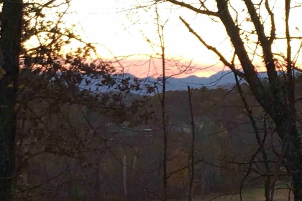Serenity Views Comfort - Close To City & Parkway! Weaverville Exterior photo